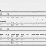 Gästeliste Vorlage Pdf Einzigartig Von Beherbergungsstatistik über Reinigungsplan Zu Checkin
