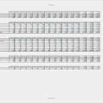 Gastro Businessplan Vorlage Angenehm Reinigungsplan Vorlage