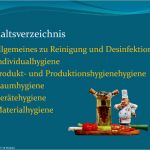 Gastro Konzept Vorlage Neu Hygienevorschriften Kuche
