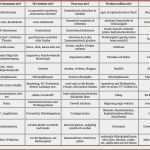 Gbr Rechnung Vorlage Fabelhaft 8 Rechtsformen Von Unternehmen Tabelle