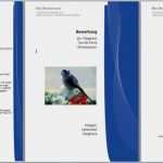 Gbr Vertrag Vorlage Word Einzigartig 50 Angenehm Bewerbung Word Vorlage Foto