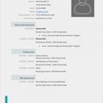 Gebrauchsmuster Vorlage Hübsch Beste Bewerbung Lebenslauf Pdf Usman Ahmed