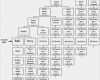 Geburtsposter Vorlage Wunderbar Die Besten 25 Familienstammbaum Diagramm Ideen Auf
