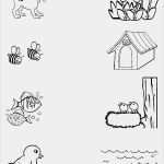 Geburtstagsanzeigen Vorlagen Angenehm 436 Besten Vorlagen Bilder Auf Pinterest