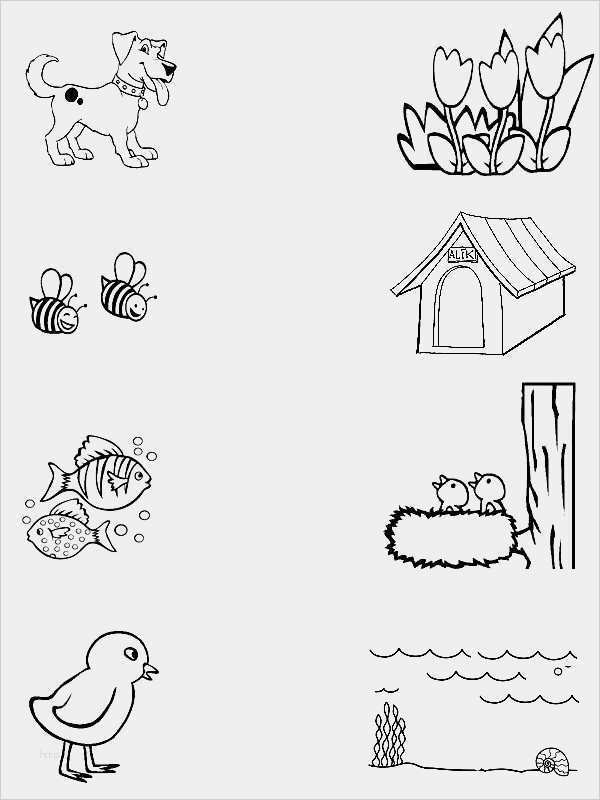 Geburtstagsanzeigen Vorlagen Angenehm 436 Besten Vorlagen Bilder Auf Pinterest