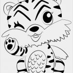 Geburtstagsanzeigen Vorlagen Schön Learn How to Draw Tigrette From Hatchimals Hatchimals