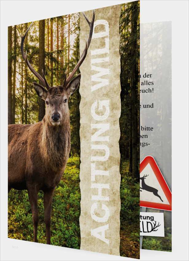 Geburtstagseinladung Vorlage 50 Schön Geburtstagseinladung Vorlage