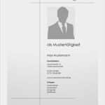 Geburtstagszeitung Deckblatt Vorlage Erstaunlich Deckblatt Vorlage 5 Bewerbungsschreiben