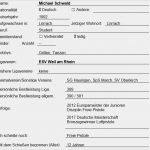 Geburtstagszeitung Deckblatt Vorlage Wunderbar Foto Für Den Steckbrief