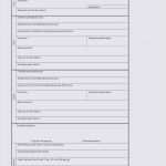 Geburtsurkunde Vorlage Best Of Geburtsurkunde Vorlage Kostenlos