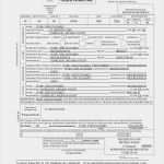 Geburtsurkunde Vorlage Cool Was Kostet Eine Übersetzung Übersetzungen Mänzel