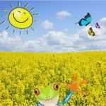 Gedächtnistraining Bei Demenz Vorlagen Erstaunlich 26 Besten Rätsel Beschäftigungsideen Senioren Demenz