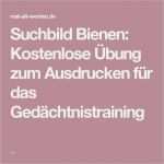 Gedächtnistraining Für Senioren Vorlagen Beste Die Besten 25 Rätsel Zum Ausdrucken Ideen Auf Pinterest