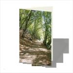 Gedenkkarten Vorlagen Inspiration Einfühlsame Entwürfe Individueller Trauerkarten Und