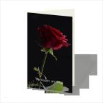 Gedenkkarten Vorlagen Süß Einfühlsame Entwürfe Individueller Trauerkarten Und