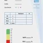 Gefährdungs Und Belastungsanalyse Vorlage Hübsch Download Center