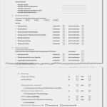 Gefährdungsanalyse Vorlage Inspiration Legionellenjagd Im Wasserrohr Interview Kein Hexenwerk