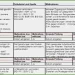 Gefährdungsbeurteilung Chemie Schule Vorlage Erstaunlich Gefährdungsbeurteilung Chemie Vorlage Hübscher