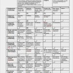 Gefährdungsbeurteilung Dachdecker Vorlage Erstaunlich Gefährdungsbeurteilung Baustelle Muster