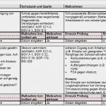Gefährdungsbeurteilung Excel Vorlage Cool Gefährdungsbeurteilung Montage Von Dachelementen