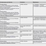 Gefährdungsbeurteilung Excel Vorlage Elegant Gefährdungsbeurteilung Drahtero Ren Und Senkero Ren