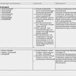 Gefährdungsbeurteilung Explosionsschutz Vorlage Angenehm Universum Verlag