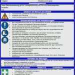Gefährdungsbeurteilung Hydraulische Pressen Vorlage Großartig Gefährdungsbeurteilung Hydraulische Pressen Vorlage