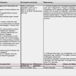 Gefährdungsbeurteilung Lager Allgemein Vorlage Einzigartig Muster Gefaehrdungsbeurteilung Muster