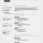 Gefährdungsbeurteilung Nach 5 Arbeitsschutzgesetz Vorlage Süß Lebenslauf 2017 Meinebewerbung