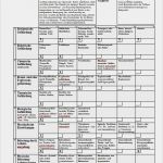 Gefährdungsbeurteilung Pdf Vorlage Elegant Gefährdungsbeurteilung Muster Für Abbrucharbeiten