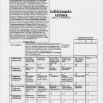 Gefährdungsbeurteilung Vorlage Pdf Cool Muster Gefährdungsbeurteilung Bürokaufmann Frau