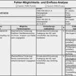 Gefahrenanalyse Vorlage Excel Erstaunlich Beste Prozess Fmea Vorlage Bilder Entry Level Resume