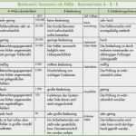 Gefahrstoffkataster Vorlage Excel Cool 60 Cool Fmea Analyse Vorlage Bilder