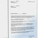 Gegendarstellung Muster Vorlage Zum Download Angenehm Referenzschreiben Privatdozent