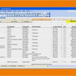 Gehaltsabrechnung Vorlage Excel 2018 Einzigartig 7 Einnahmen Ausgaben Rechnung Excel