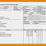 Gehaltsabrechnung Vorlage Word Erstaunlich 11 Lohn Und Gehaltsabrechnung Muster