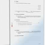 Geld Ausleihen Vertrag Vorlage Wunderbar Privater Darlehensvertrag Muster Vorlage Zum Download