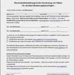 Gemeinsames sorgerecht Urlaub Zustimmung Vorlage Einzigartig Nett Einverstndniserklrung Vorlage Beratung Ideen