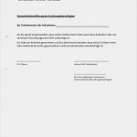 Gemeinsames sorgerecht Urlaub Zustimmung Vorlage Süß Fein Erziehungsberechtigungsvorlage Für Eltern Galerie