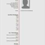 Generalvollmacht Kostenlose Vorlage Cool 20 Vorlage Lebenslauf Schweiz