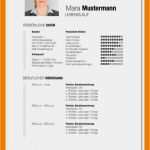 Generalvollmacht Kostenlose Vorlage Neu 19 Chronologischer Lebenslauf Muster