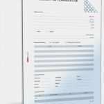 Generalvollmacht Patientenverfügung Vorlage Schönste Tagesbericht Für Produktion Muster Vorlage Zum Download