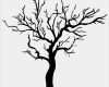 Geocaching Vorlagen Erstaunlich Wandtattoo Baum Mit Blätter
