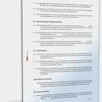 Geschäftsführervertrag Gmbh Vorlage Hübsch Gmbh Geschäftsführervertrag