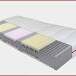 Gesellschaftsvertrag Gmbh & Co Kg Vorlage Hübsch Ziemlich Sf Contact Matratze Beco Matratzen Gmbh