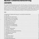 Gesellschaftsvertrag Gmbh Vorlage Word Wunderbar Gesellschaftsvertrag Der Diva Verwaltungs Diva Gmbh Co