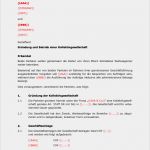 Gesellschaftsvertrag Kg Vorlage Cool Muster Gesellschaftsvertrag Kollektivgesellschaft Kg