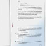 Gesetzliche Agb Vorlage Gut Ehevertrag Verzicht Auf Nachehelichen Unterhalt Muster