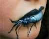 Gesicht Tattoos Vorlagen Luxus Dragon Tattoo Hip