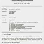 Gesprächsprotokoll Vorlage Word Luxus Gespraechsprotokoll Pdf Vorlage Muster Bild 11